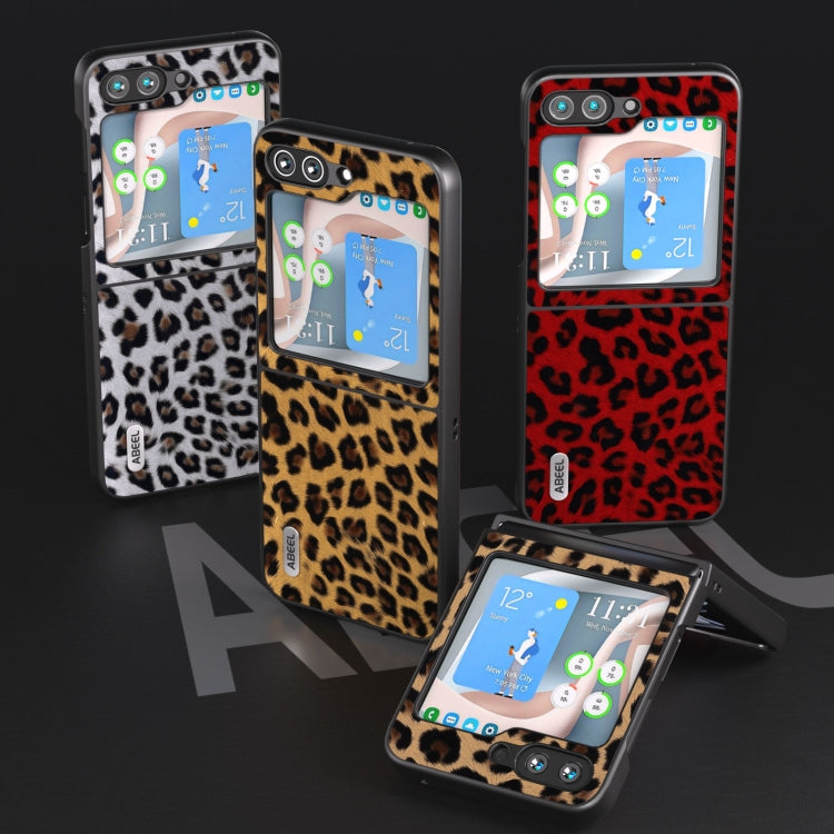 EDA004627901A_3.jpg@821a7d185ca345e6347b8835134a8389