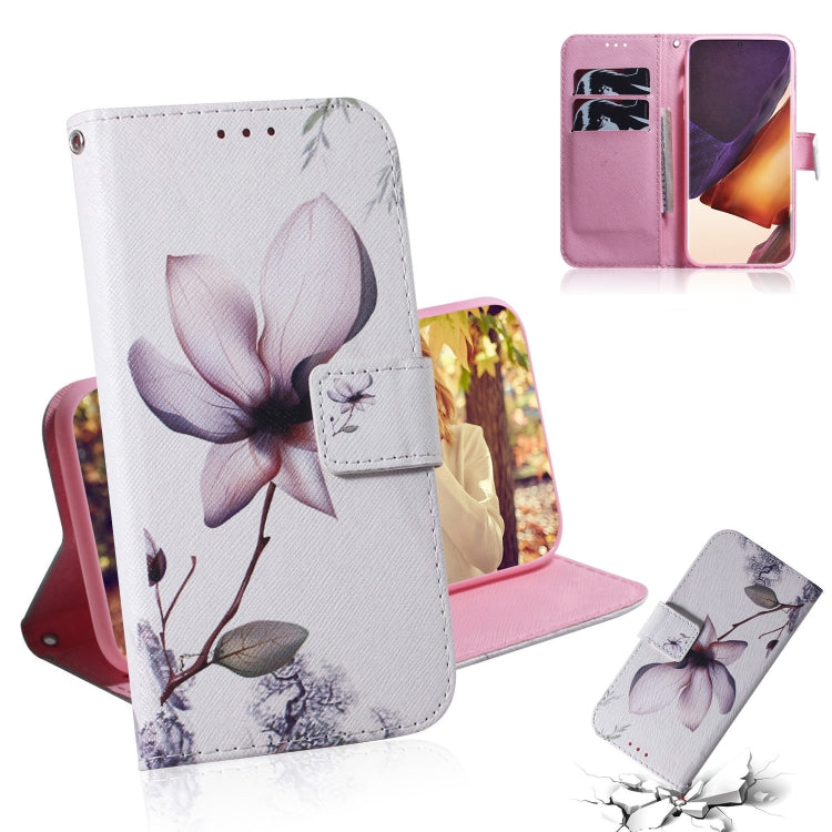 Coloured Drawing Horizontal Flip Leather Case, with Holder & Card Slots & Wallet, For Samsung Galaxy Note 20, For Samsung Galaxy Note 20 Ultra
