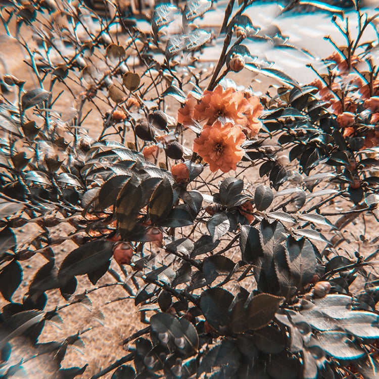 77mm Kaleidoscope Prism Foreground Blur Camera Glass Filter Lens, 77mm