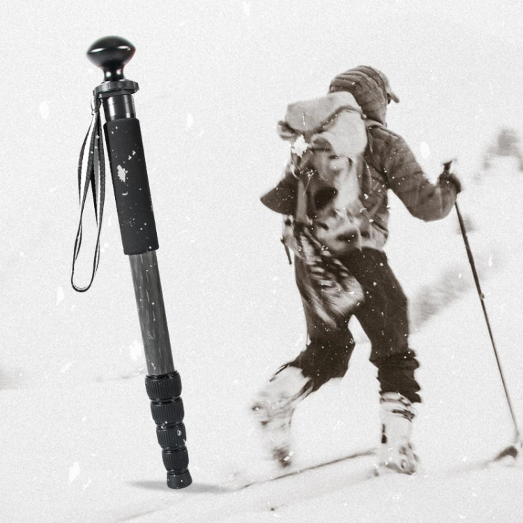 Carbon Fiber DSLR Camera Monopod Mountaineering Stick Photography Selfie Holder, P285C