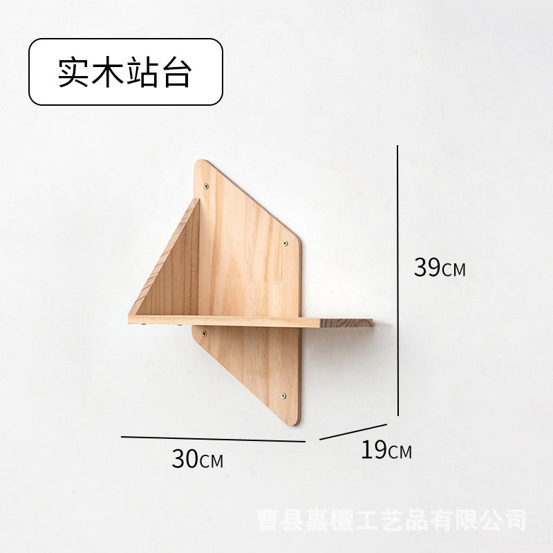 cat toy