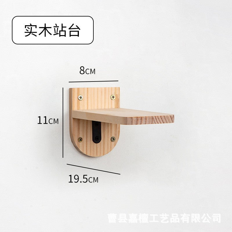 cat toy