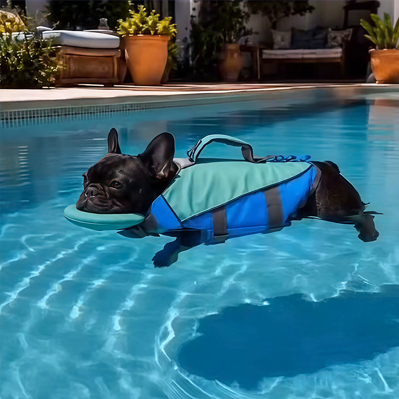 Adjustable Dog Life Vest with Reflective Stripes – High Buoyancy, Breathable Safety Jacket for Water Sports & Swimming