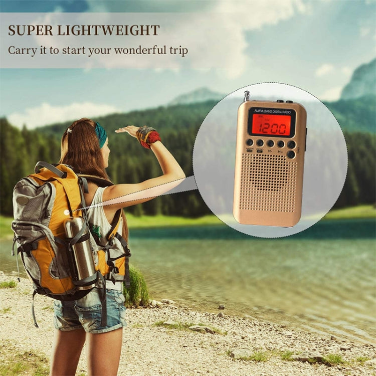 HRD-104 Mini Portable FM + AM Two Band Radio with Loudspeaker
