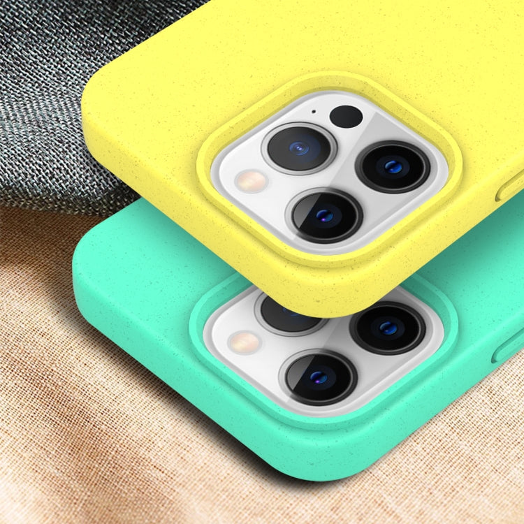 Starry Series Shockproof Straw Material + TPU Protective Case, For iPhone 13, For iPhone 13 mini, For iPhone 13 Pro Max