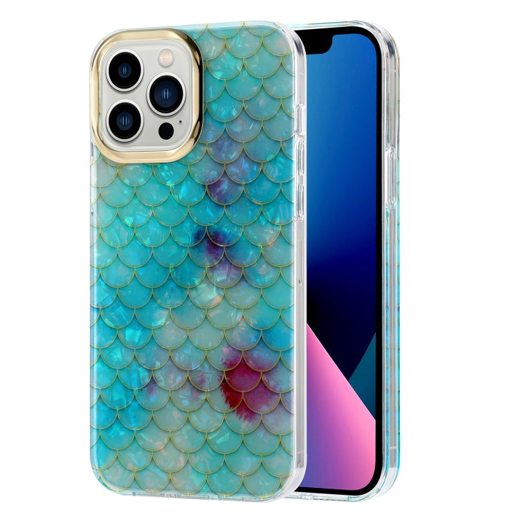 Electroplating Shell Texture Phone Case, For iPhone 12 / 12 Pro, For iPhone 12 Pro Max, For iPhone 11