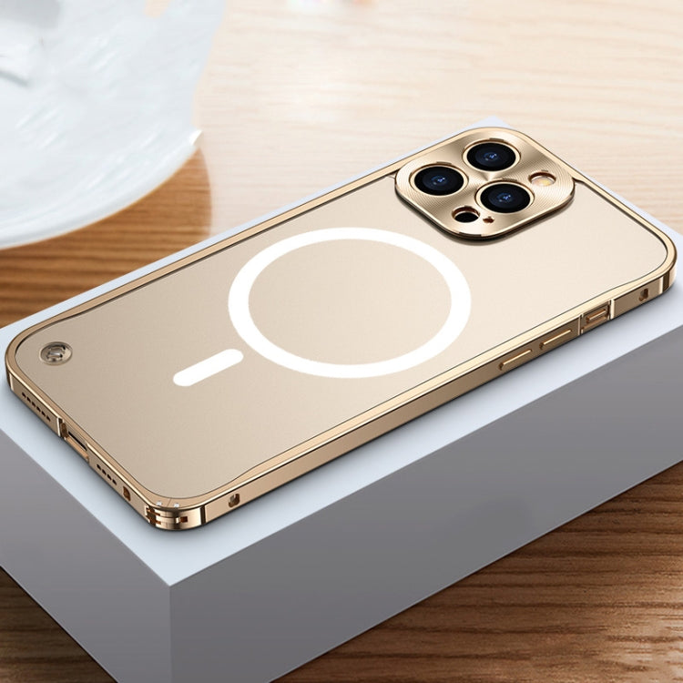 MagSafe Magnetic Frosted Case, For iPhone 12, For iPhone 12 Pro, For iPhone 12 Pro Max, For iPhone 13, For iPhone 13 Pro, For iPhone 13 Pro Max