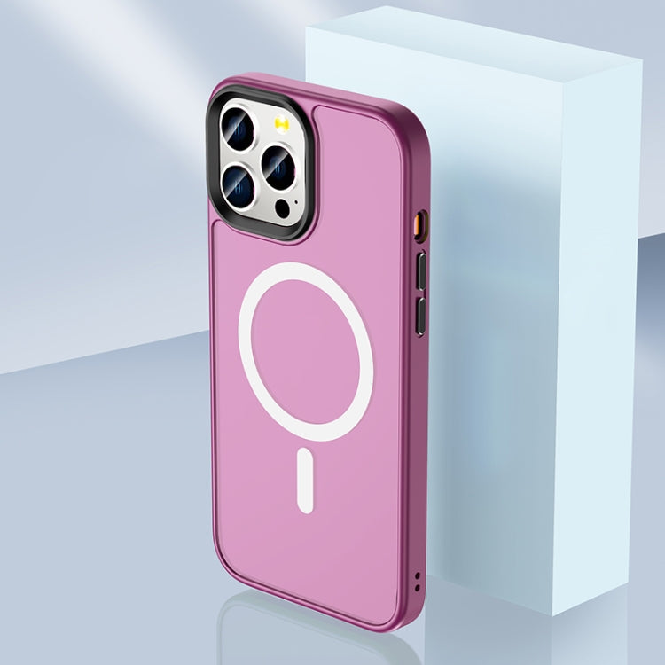 Skin Feel TPU + Frosted PC MagSafe Phone Case, For iPhone 13 Pro Max, For iPhone 13 Pro, For iPhone 13