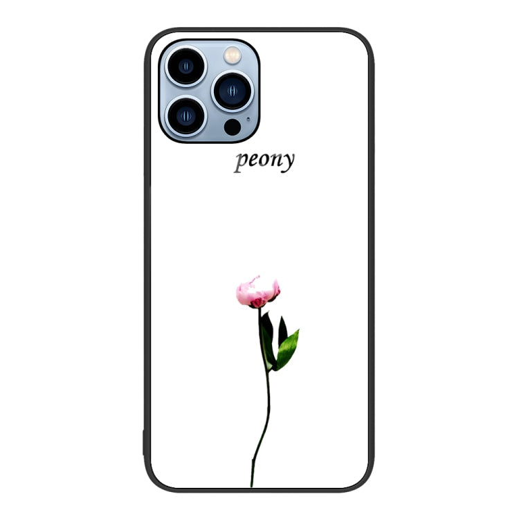 Colorful Painted Glass Phone Case, For iPhone 13 Pro