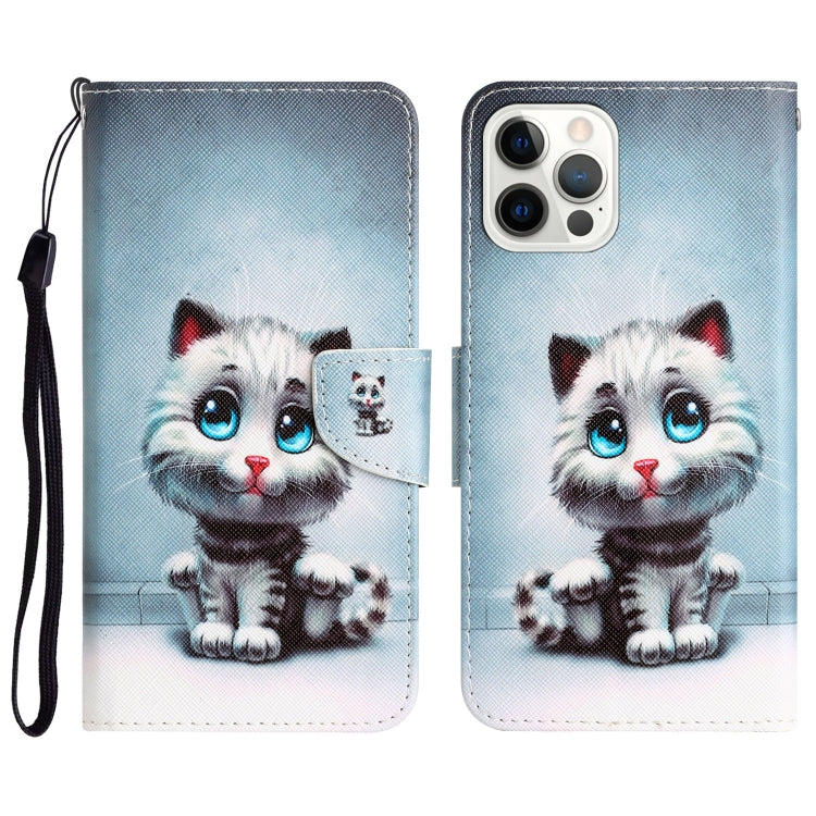 Colored Drawing Leather Phone Case, For iPhone 13 Pro Max