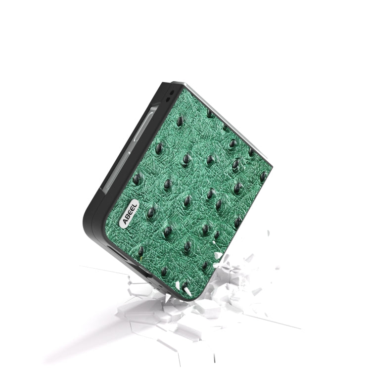 EDA004646203A_2.jpg@49e52d4d99270ae2b5b0575432aa1548