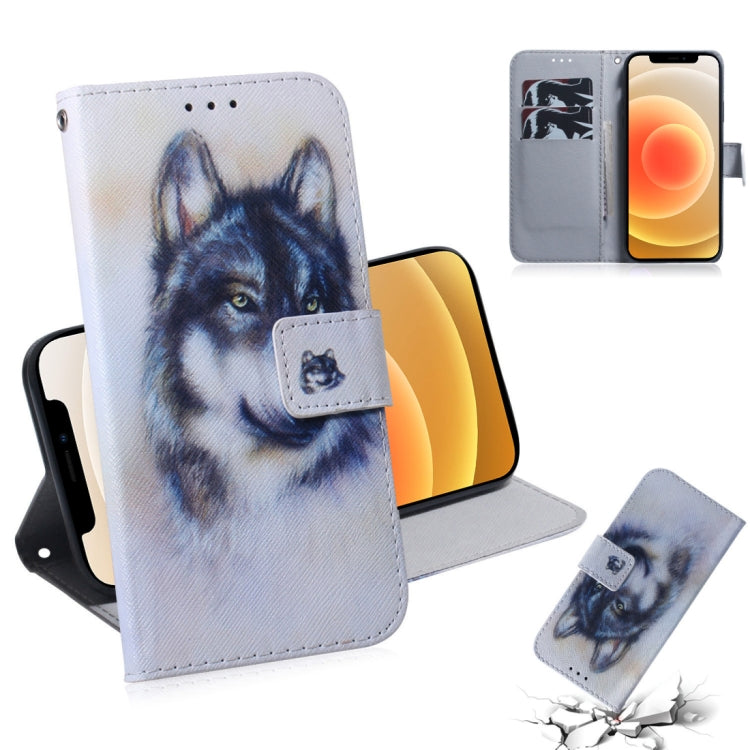 Coloured Drawing Horizontal Flip Leather Case, with Holder & Card Slots & Wallet, For iPhone 12 mini, For iPhone 12 / 12 Pro