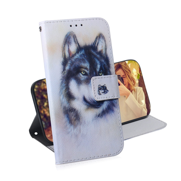 Coloured Drawing Horizontal Flip Leather Case, with Holder & Card Slots & Wallet, For iPhone 12 mini, For iPhone 12 / 12 Pro