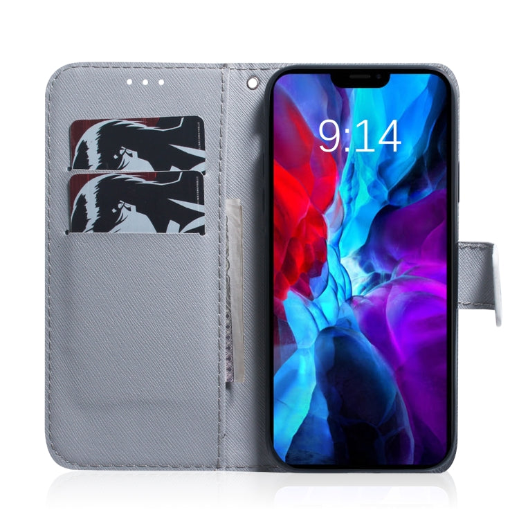 Coloured Drawing Horizontal Flip Leather Case, with Holder & Card Slots & Wallet, For iPhone 12 mini, For iPhone 12 / 12 Pro