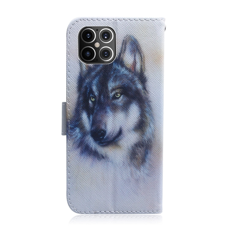 Coloured Drawing Horizontal Flip Leather Case, with Holder & Card Slots & Wallet, For iPhone 12 Pro Max, For LG K41S