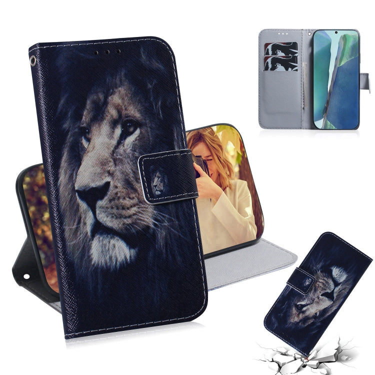 Coloured Drawing Horizontal Flip Leather Case, with Holder & Card Slots & Wallet, For Samsung Galaxy Note 20, For Samsung Galaxy Note 20 Ultra