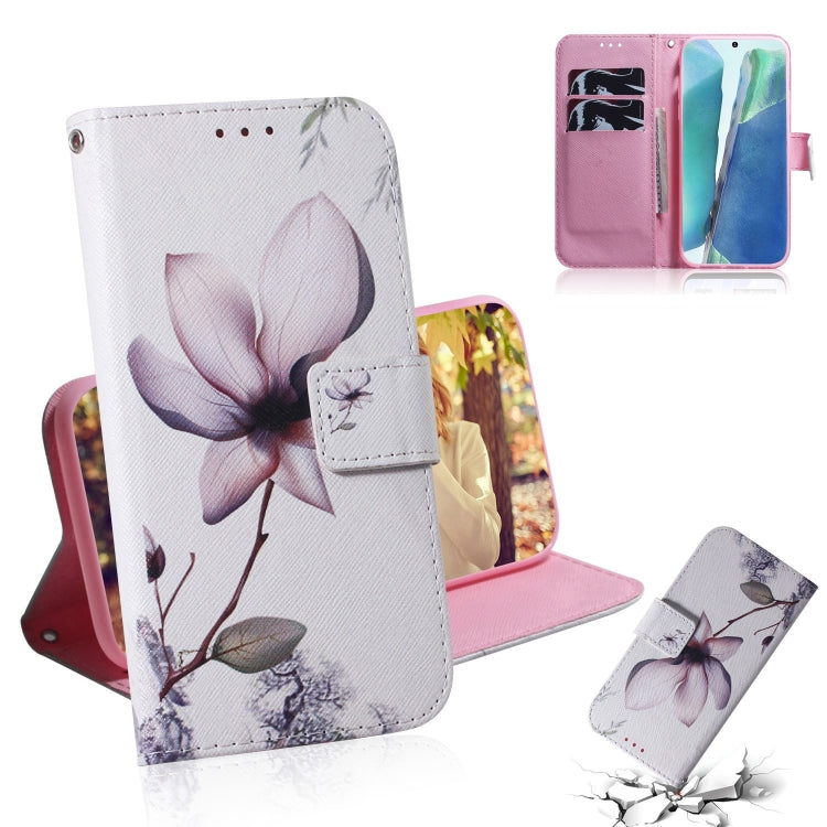 Coloured Drawing Horizontal Flip Leather Case, with Holder & Card Slots & Wallet, For Samsung Galaxy Note 20, For Samsung Galaxy Note 20 Ultra