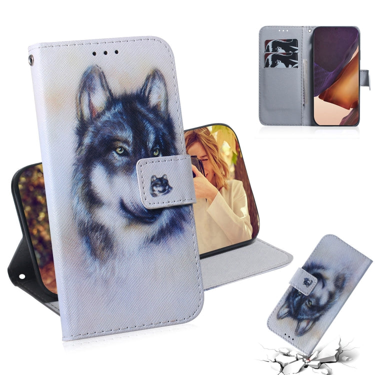Coloured Drawing Horizontal Flip Leather Case, with Holder & Card Slots & Wallet, For Samsung Galaxy Note 20, For Samsung Galaxy Note 20 Ultra