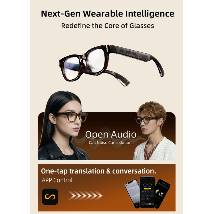 E06D 13MP 1080P 30FPS Dual-Mic Noise Cancellation AI Smart Glasses with Voice / Calling