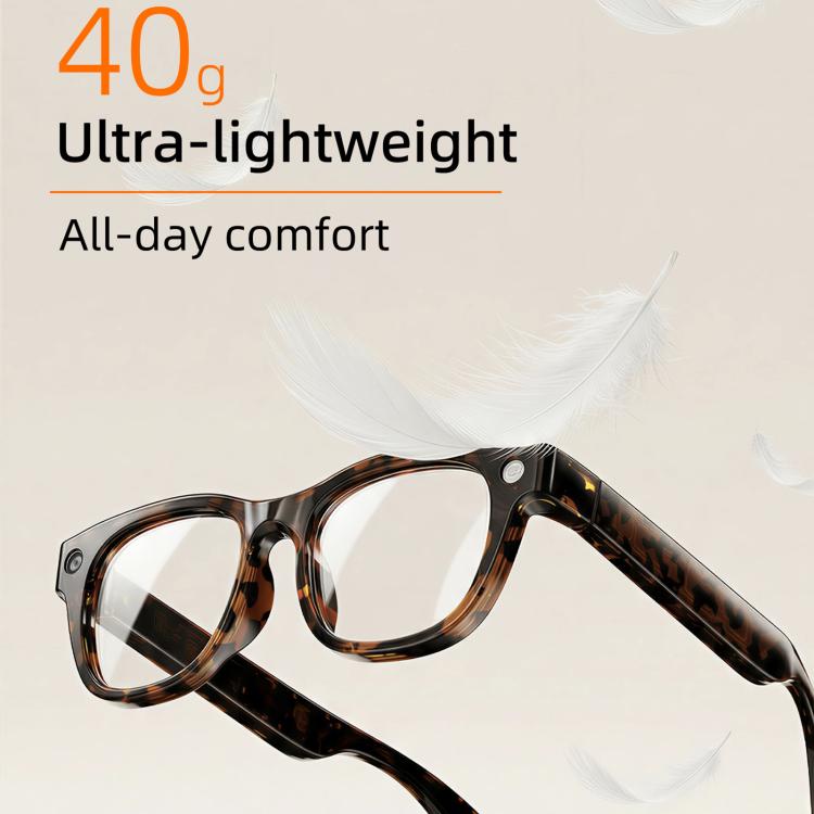 E06D 13MP 1080P 30FPS Dual-Mic Noise Cancellation AI Smart Glasses with Voice / Calling