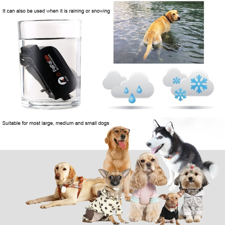 PaiPaitek Automatic Anti Barking Collar Pet Training Control System + Electric Shock PU Leather Collar for Dogs, PD525