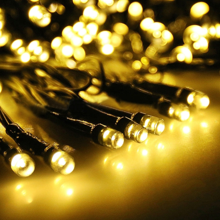 100 LEDs Holiday Decorative Light, 17m Warm White, 17m Blue Light, 17m Colorful Light, 17m White Light