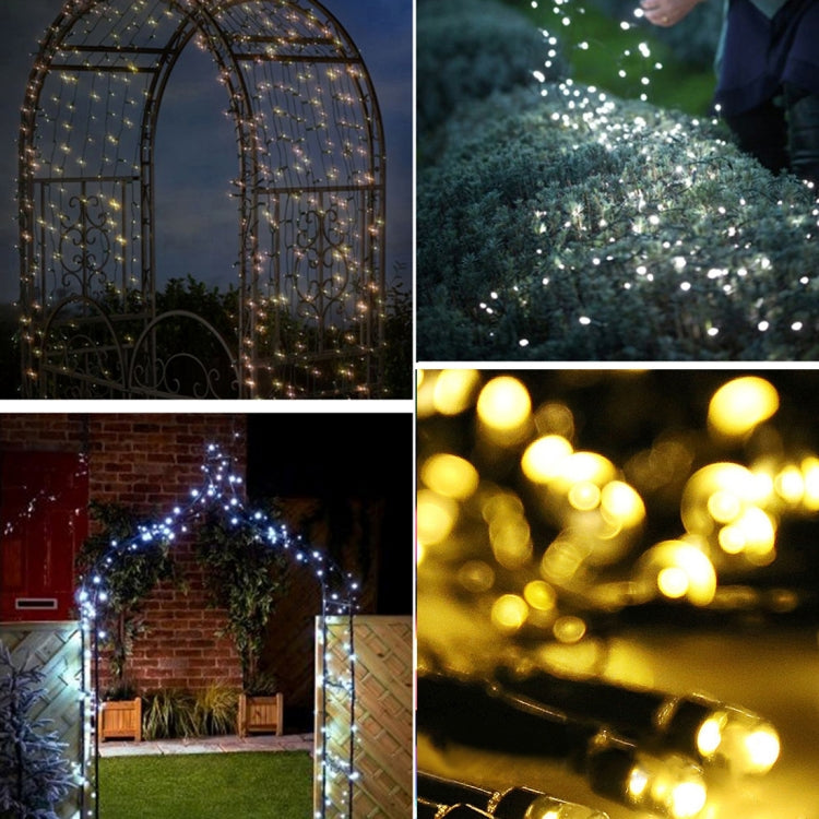 100 LEDs Holiday Decorative Light, 17m Warm White, 17m Blue Light, 17m Colorful Light, 17m White Light