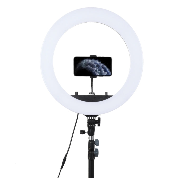 18 inch 55W Two-speed Dimmable Anchor Photography Self-timer LED Ring Fill-in Light with Tripod, 18 Inch