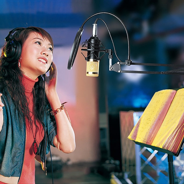 BM-800 Network K-Song Dedicated High-end Metal Shock Mount Microphone Set, BM800 Kit Black, BM800 Kit Pink, BM800 Kit Blue
