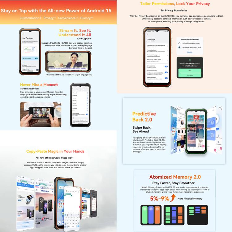 MPH2604_B5.jpg@b955534b2b412498db76c2147e0e6376