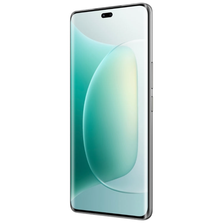 Honor 300 Pro, 12GB+256GB, Screen Fingerprint, 6.78 inch MagicOS 9.0 / Android 15 Snapdragon 8 Gen 3 Octa Core, Network: 5G, NFC, OTG, Not Support Google Play, Honor 300 Pro, 12GB+256GB