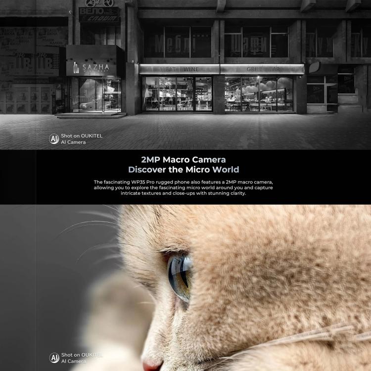 MPH2864_B10.jpg@11e9ed33cb97e5c7247e618b1aa10c3e