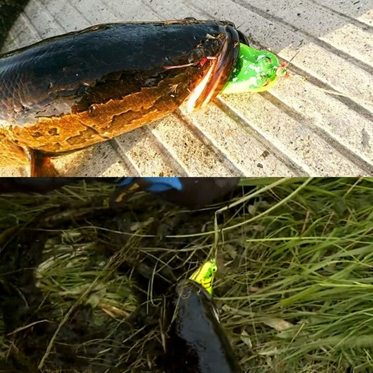 HENGJIA 5 PCS Soft Baits Water-hit Fishing Lures Ray Frog Baits with Plastic Box, Soft Baits Water-hit Fishing
