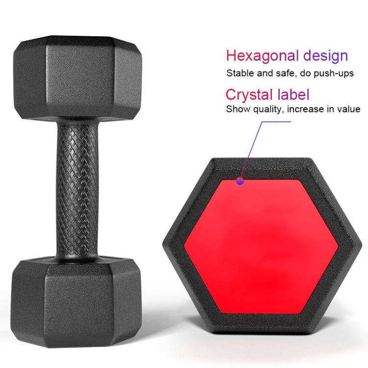 10KG Red Seal Household Glue Fitness Hexagon Dumbbells, 10KG