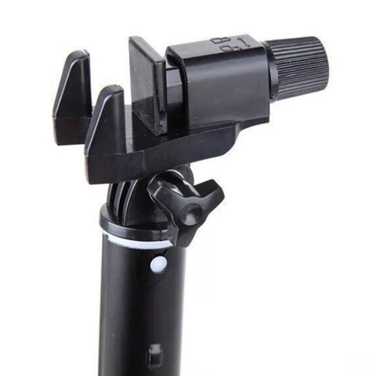 SYA0028462_2.jpg@80a50717a1a0054c9e87bbd14c2510a4