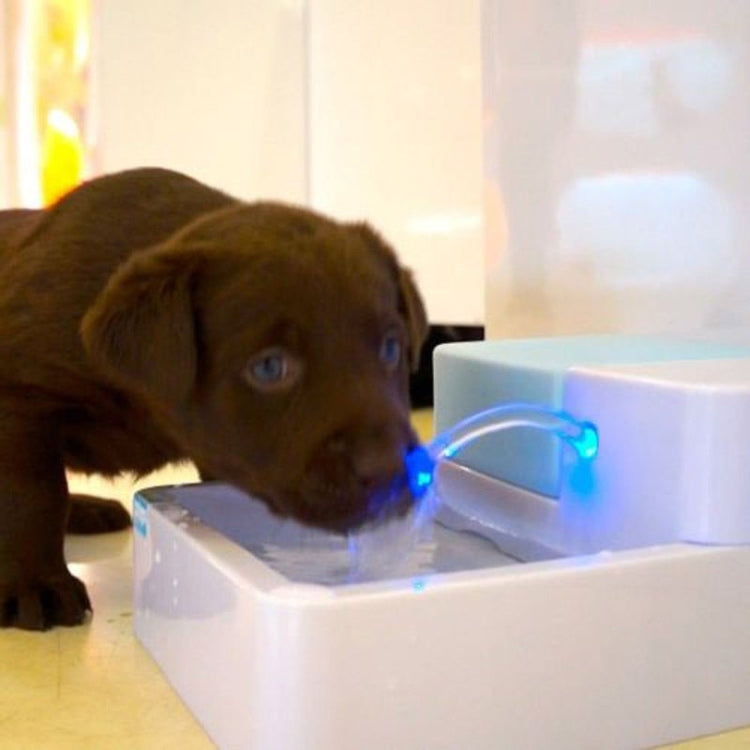 Pet aAutomatic Water Dispenser Cat Teddy Dog General Circulation Dog Feeder, UK
