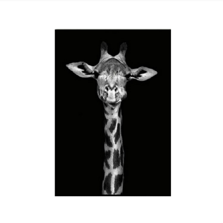 Simple Black and White Animal Decoration Painting Study Living Room Sofa Background Wall Painting Without Frame, 21X30cm