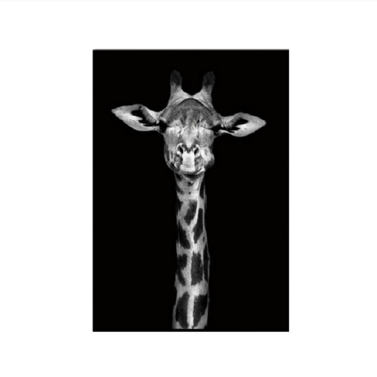Simple Black and White Animal Decoration Painting Study Living Room Sofa Background Wall Painting Without Frame, 21X30cm
