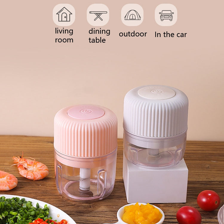 Household Vegetable Cutting Electric USB Garlic Masher Baby Mini Cooking Machine Baby Food Supplement Machine, 250ml, 100ml + 250ml, 100ml