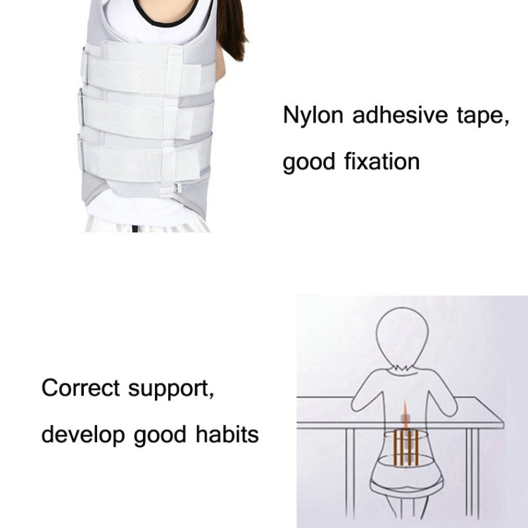 Thoracolumbar Fixation Belt Strap Type Protective Gear with Airbag, Regular Style M, Regular Style L, Regular Style XL, Mesh Style S, Mesh Style M, Mesh Style L, Mesh Style XL