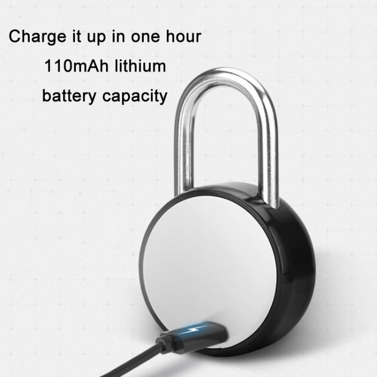 Outdoor Waterproof Electronic Intelligent Fingerprint Padlock, P3Z-TY