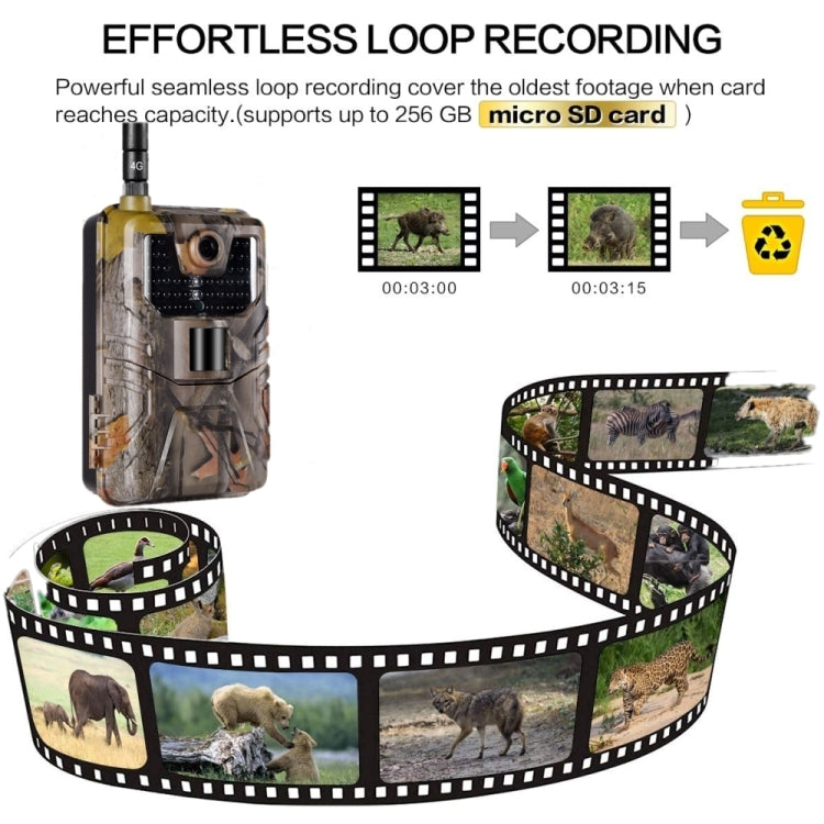 36MP 4K 4G Hunting Camera With APP Remote Mobile Phone Control To View Photos / Video At Any Time, HC-900Pro