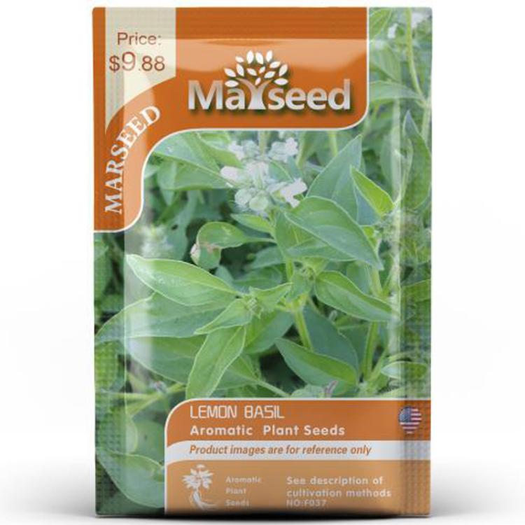Herb Collection Spice Seeds, New / Old Packaging Ships Randomly, Cedarwood, Lemon Basil, Thyme