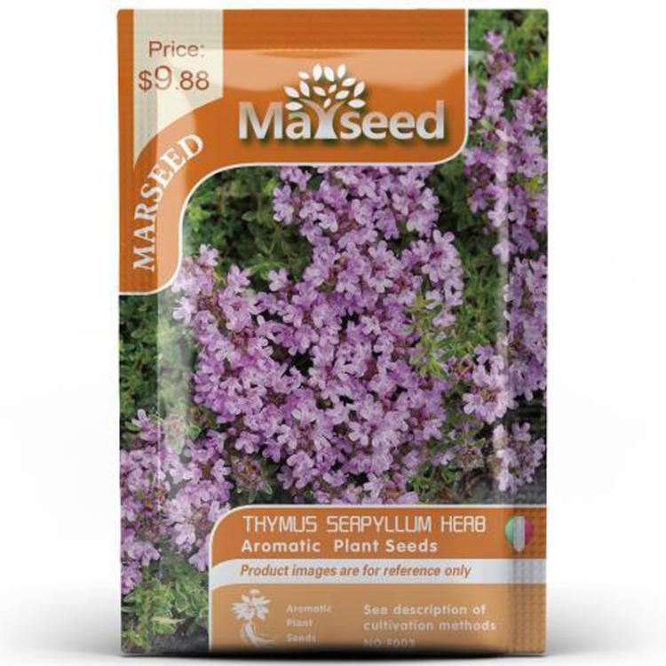 Herb Collection Spice Seeds, New / Old Packaging Ships Randomly, Cedarwood, Lemon Basil, Thyme