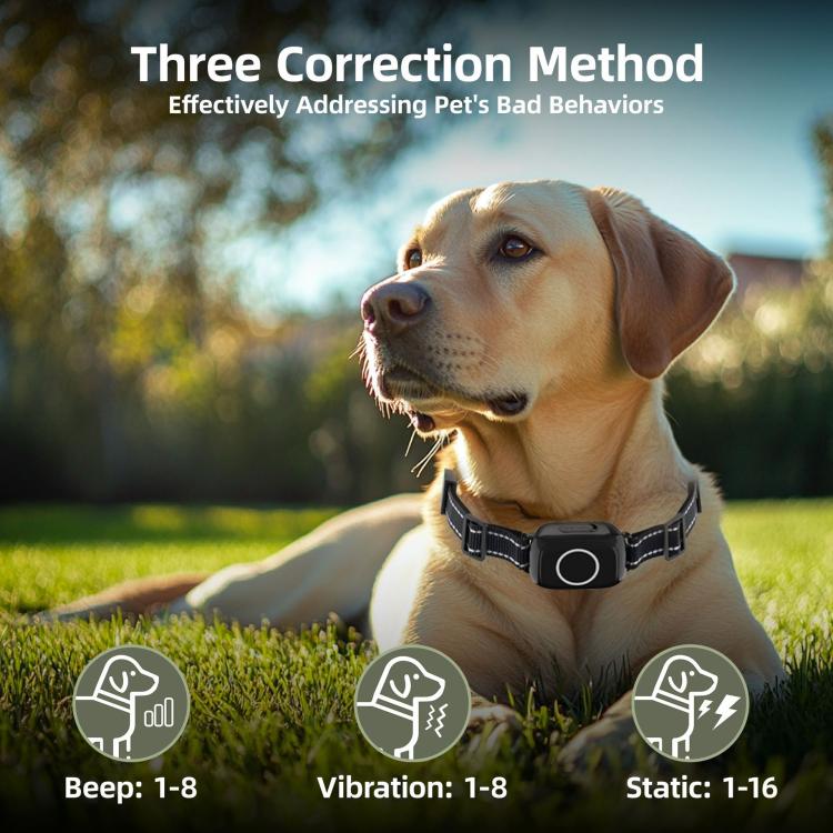 T800S 3-In-1 Remote Dog Trainer Bark Collar With Two-Way Communication Displays Dog Status & Activity Monitor, T800S