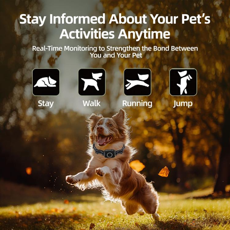 T800S 3-In-1 Remote Dog Trainer Bark Collar With Two-Way Communication Displays Dog Status & Activity Monitor, T800S