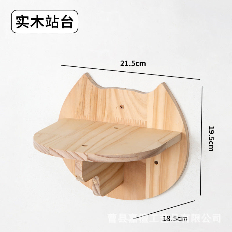 cat toy