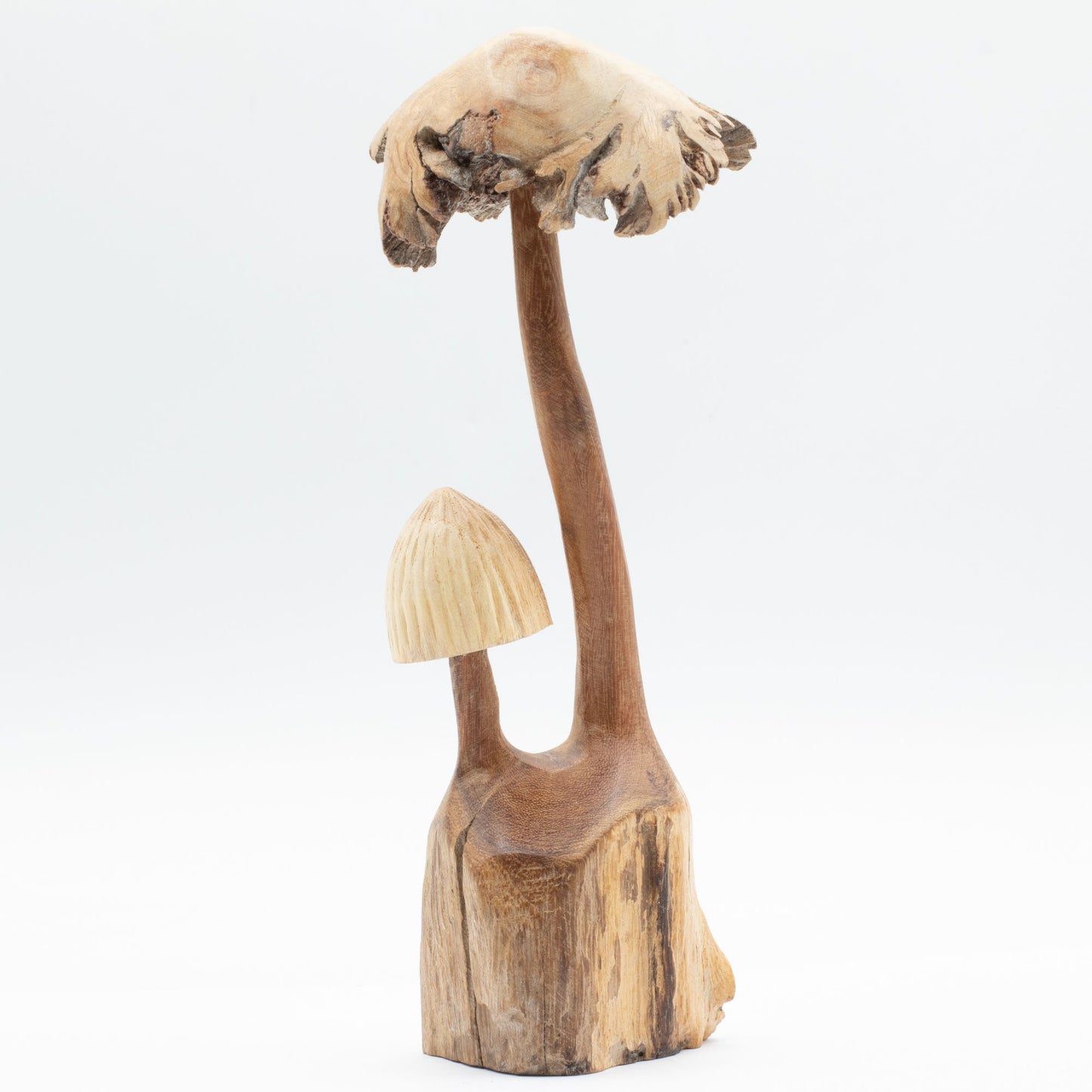 Handmade Parasite Wood Art Carving - Set of Two Mushoorms