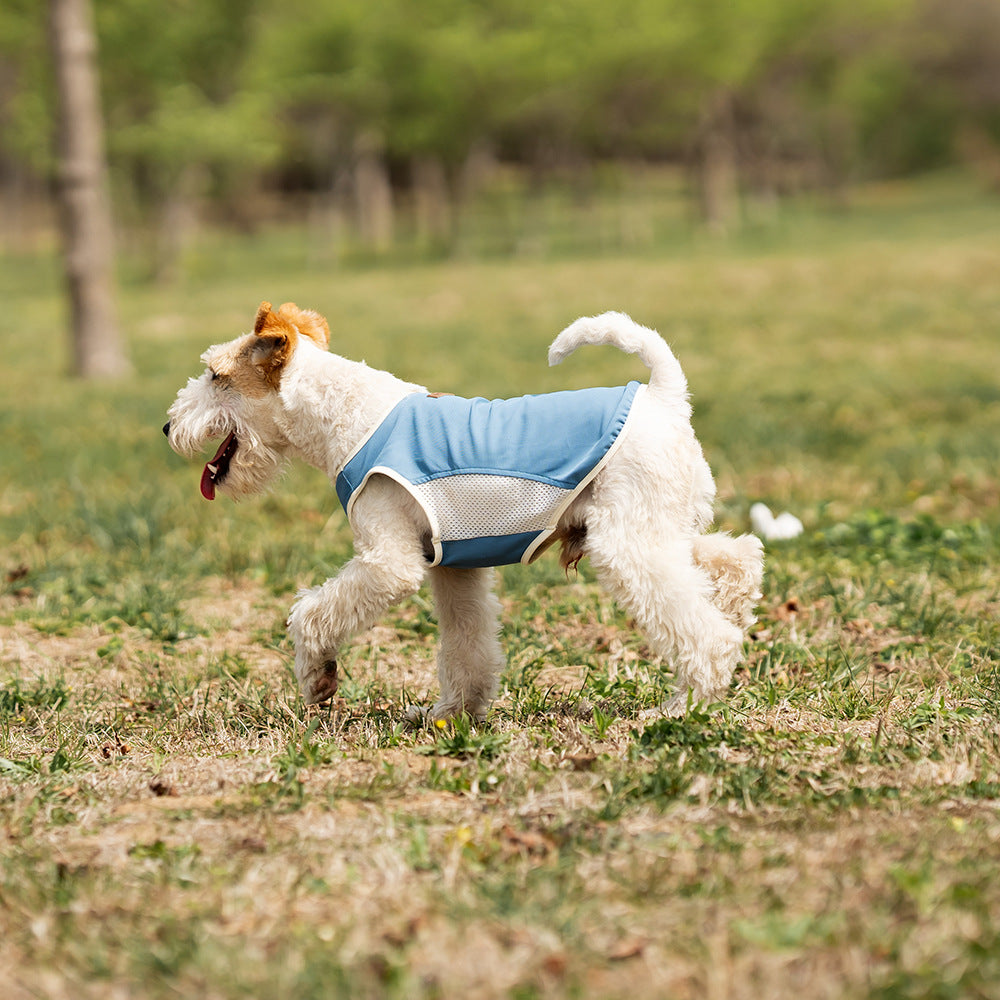Dog Sun Protection Clothing Spring and Summer Mesh Breathable
