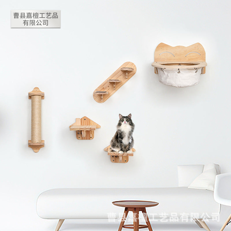 cat toy